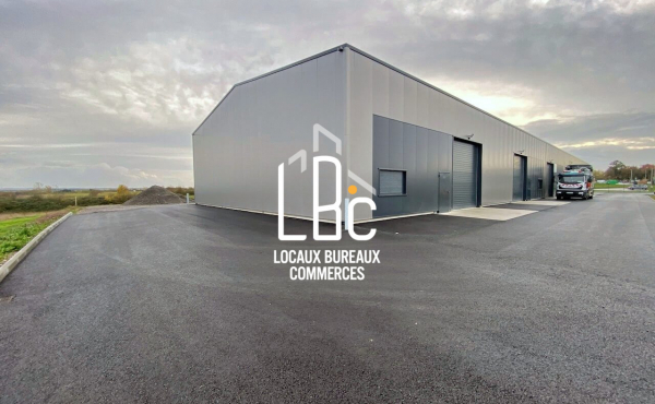 Ancenis Saint Géréon - ZAC Aéropole - À louer local d'activi